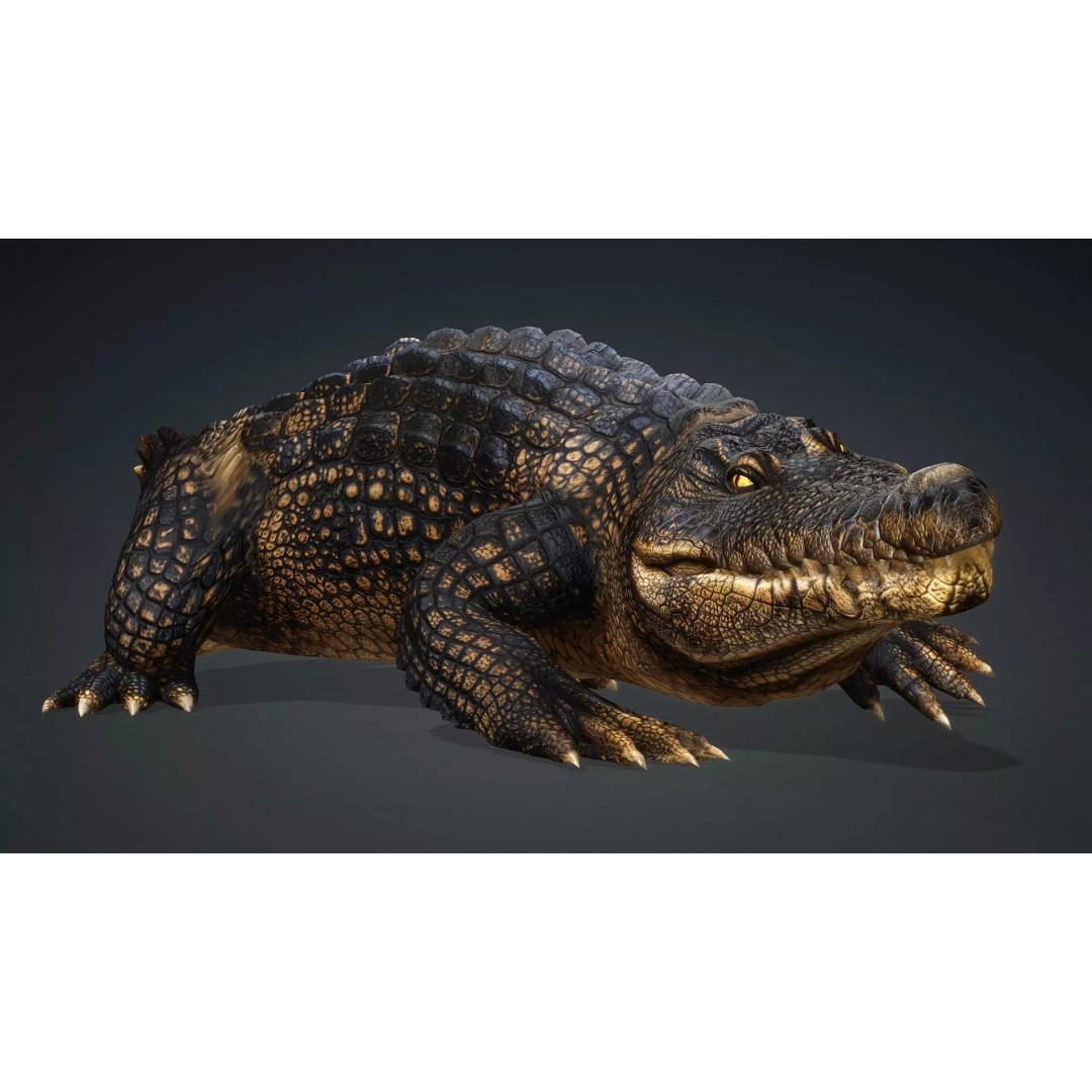 Crocodile 3D Model – Rigged Animation Asset, FBX, PBR Textures - View 15