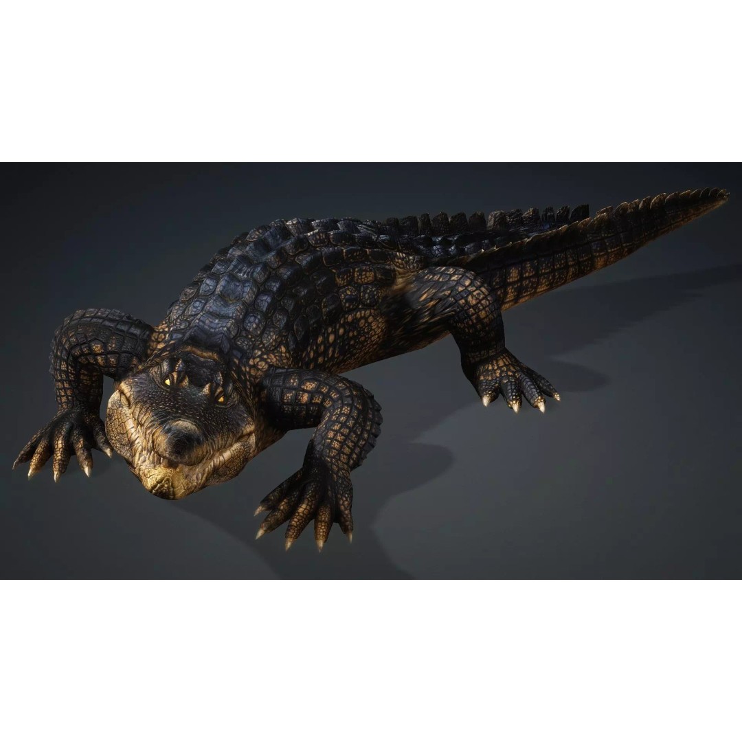 Crocodile 3D Model – Rigged Animation Asset, FBX, PBR Textures - View 16