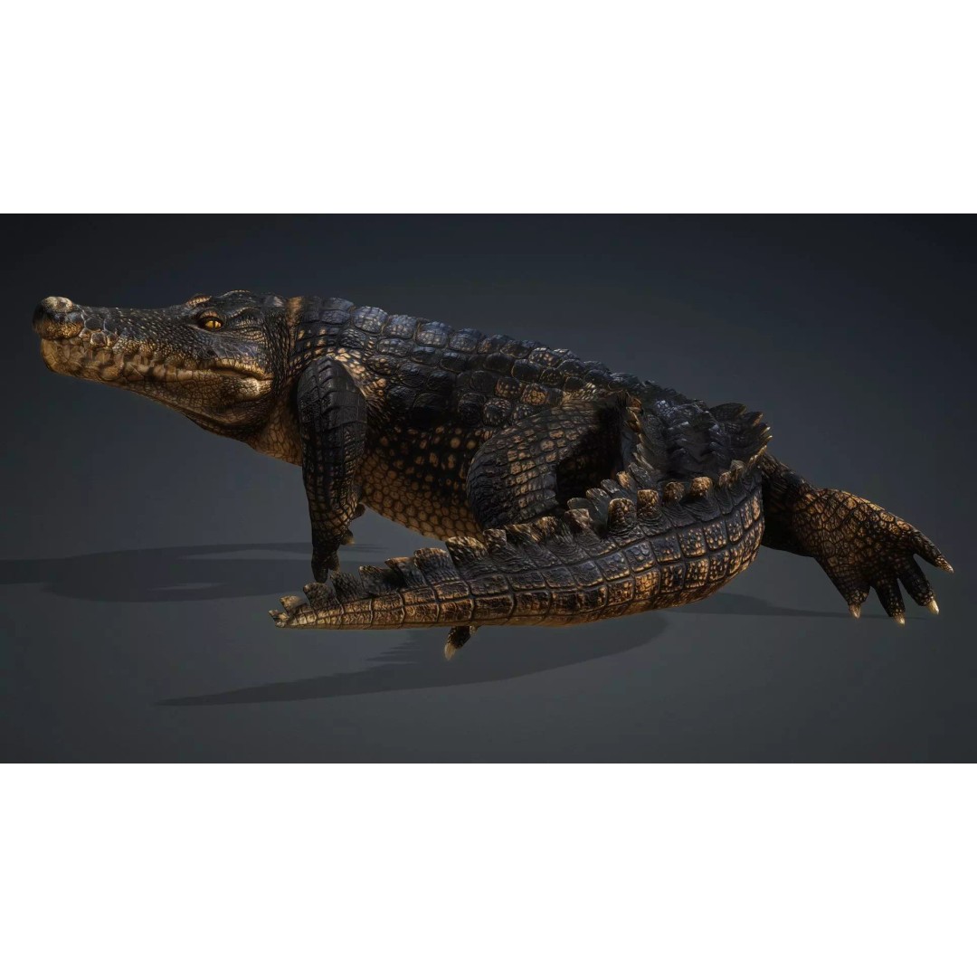 Crocodile 3D Model – Rigged Animation Asset, FBX, PBR Textures - View 18