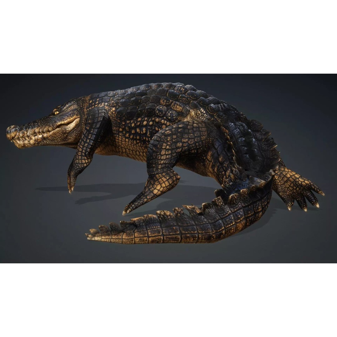Crocodile 3D Model – Rigged Animation Asset, FBX, PBR Textures - View 19