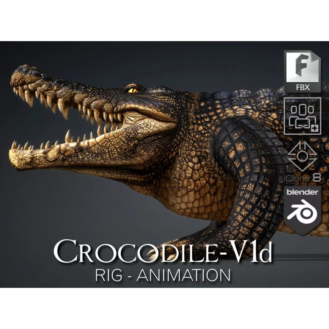 Crocodile 3D Model – Rigged Animation Asset, FBX, PBR Textures - View 2
