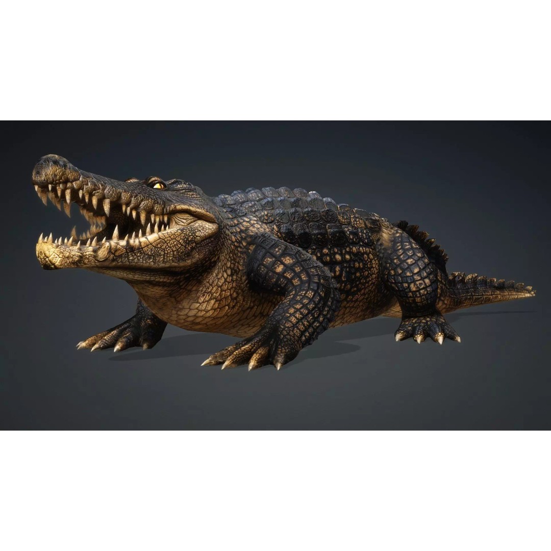 Crocodile 3D Model – Rigged Animation Asset, FBX, PBR Textures - View 3