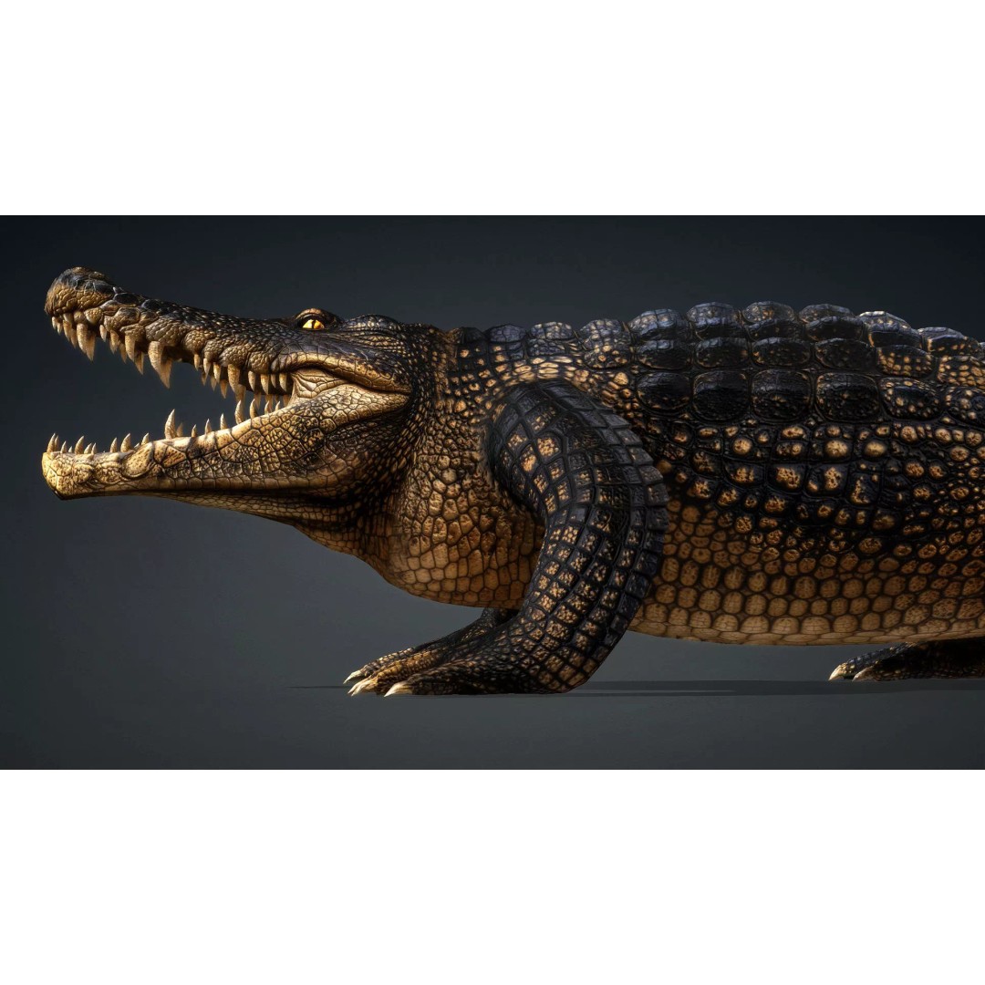 Crocodile 3D Model – Rigged Animation Asset, FBX, PBR Textures - View 4
