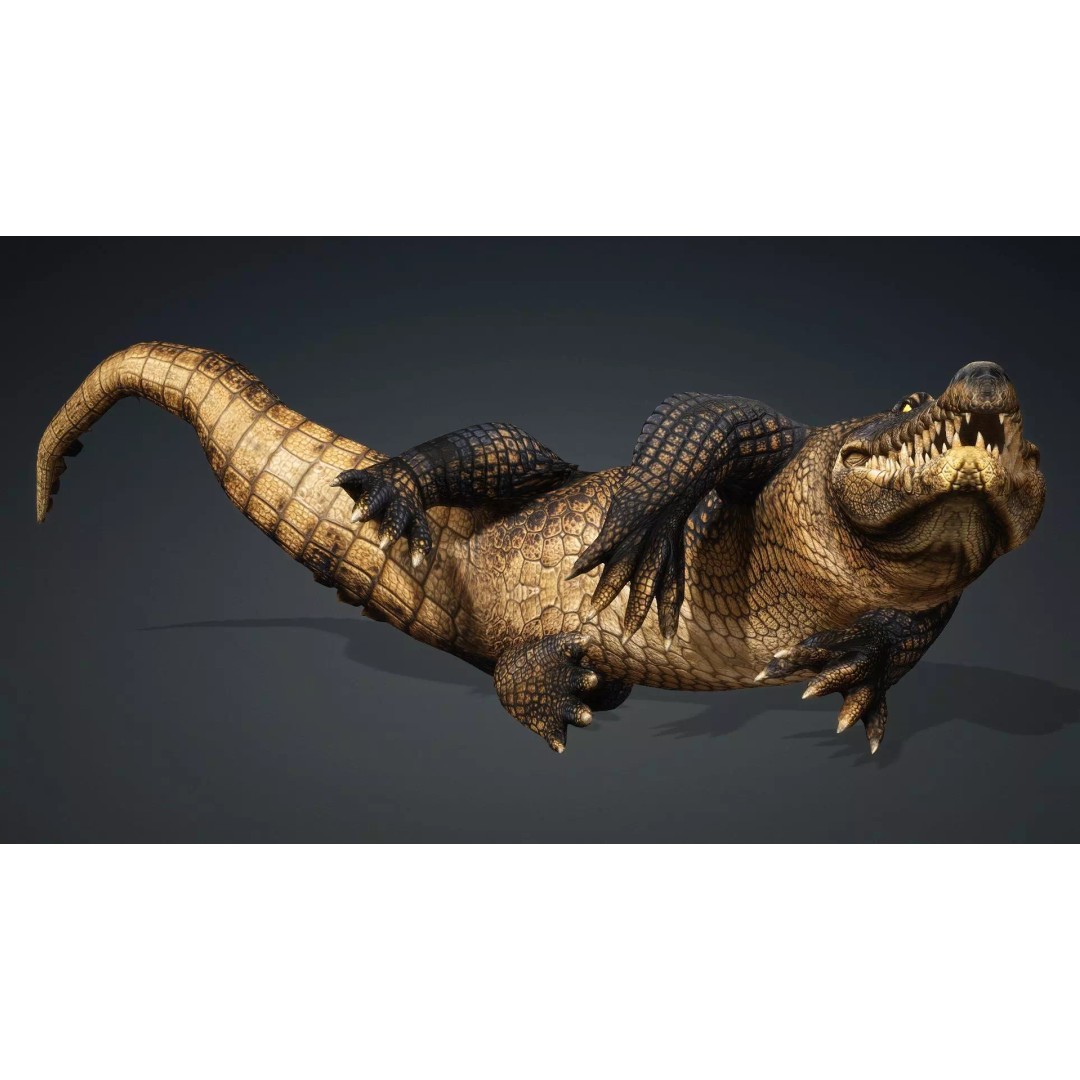 Crocodile 3D Model – Rigged Animation Asset, FBX, PBR Textures - View 7