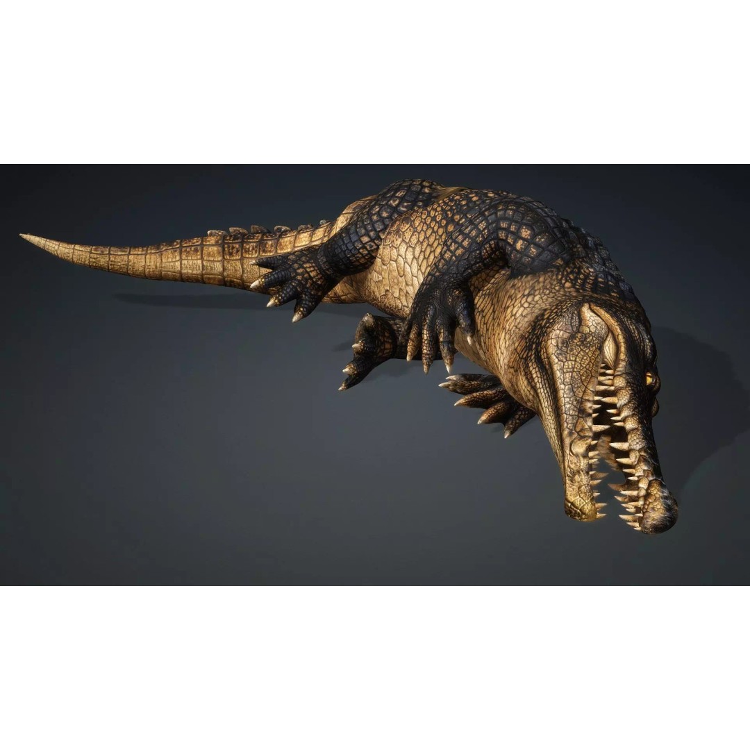 Crocodile 3D Model – Rigged Animation Asset, FBX, PBR Textures - View 8