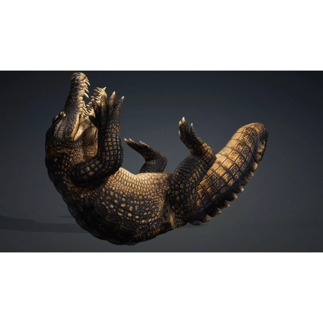 Crocodile 3D Model – Rigged Animation Asset, FBX, PBR Textures - View 9