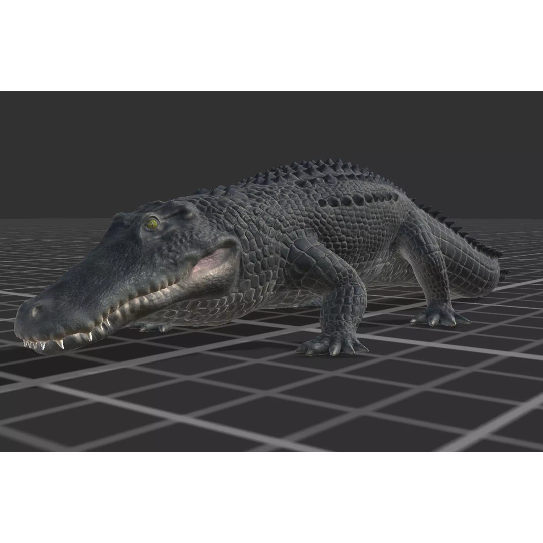 Alligator 3D Model – Low Poly Animated Rigged Game Asset, FBX - View 10
