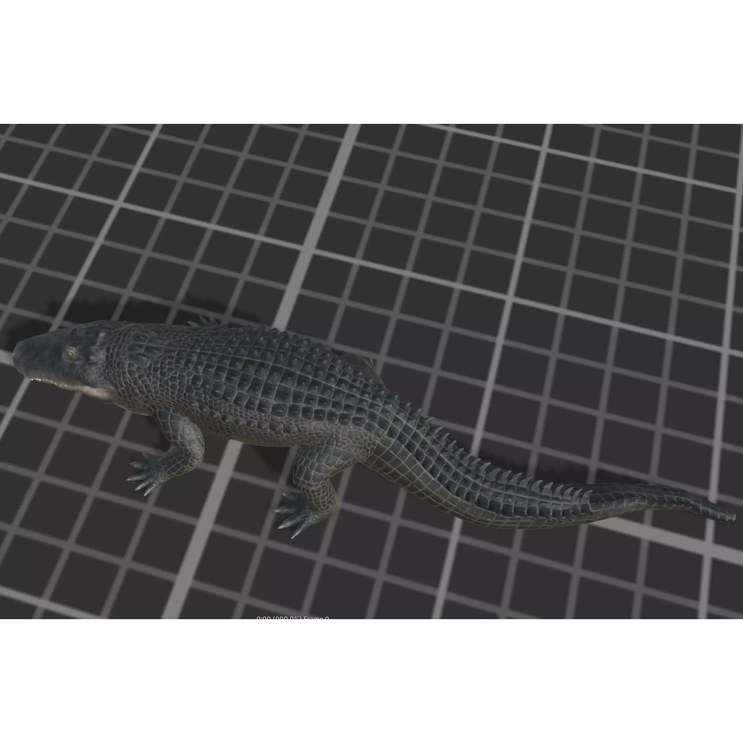 Alligator 3D Model – Low Poly Animated Rigged Game Asset, FBX - View 11