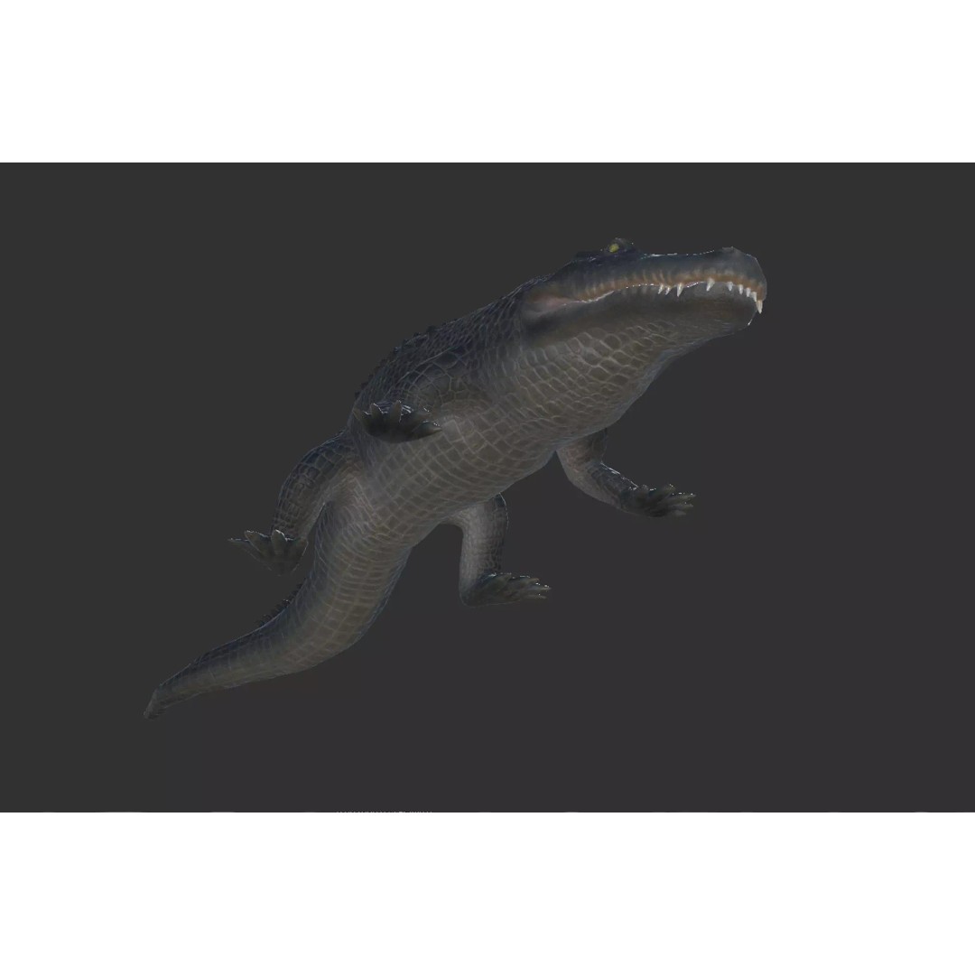 Alligator 3D Model – Low Poly Animated Rigged Game Asset, FBX - View 12