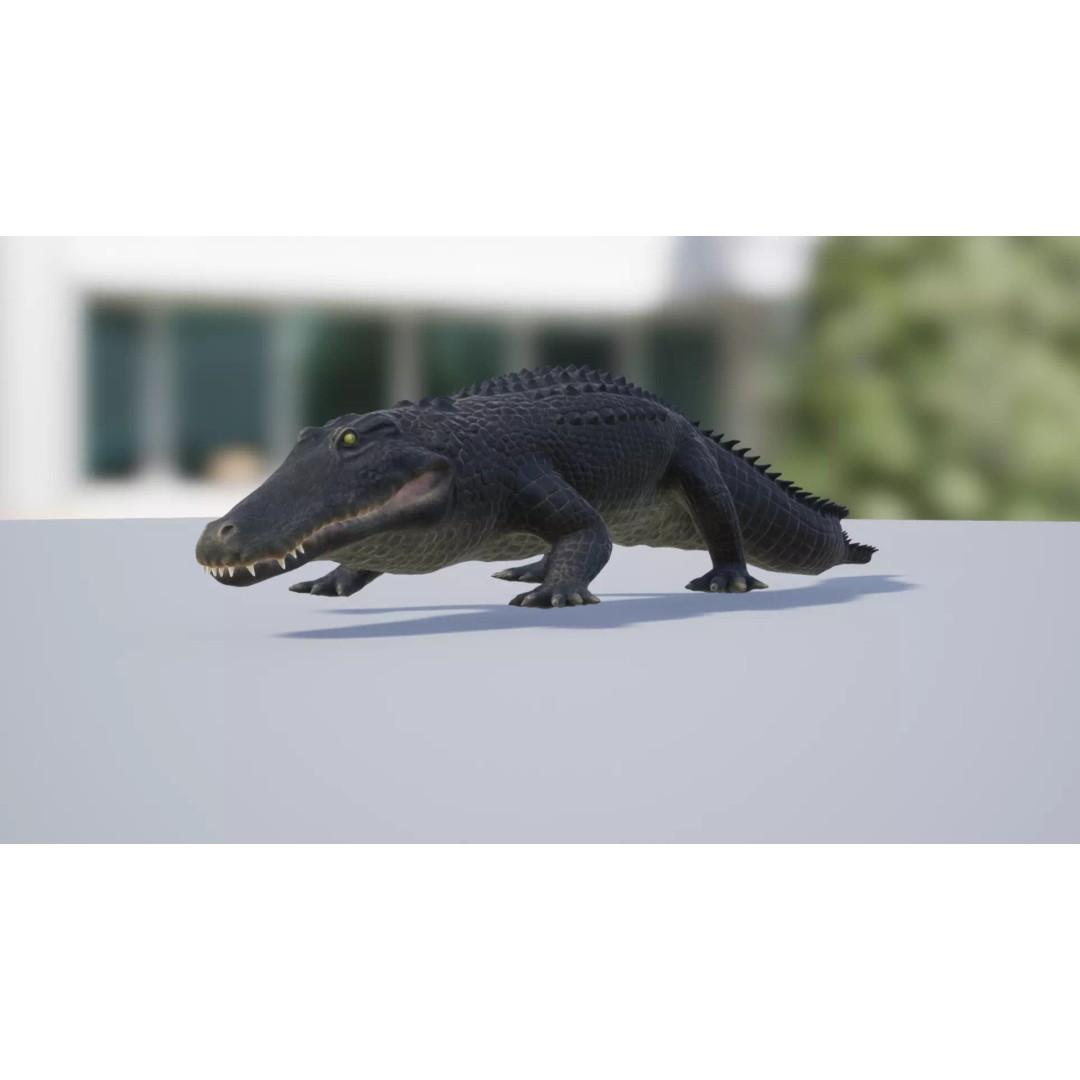 Alligator 3D Model – Low Poly Animated Rigged Game Asset, FBX - View 4