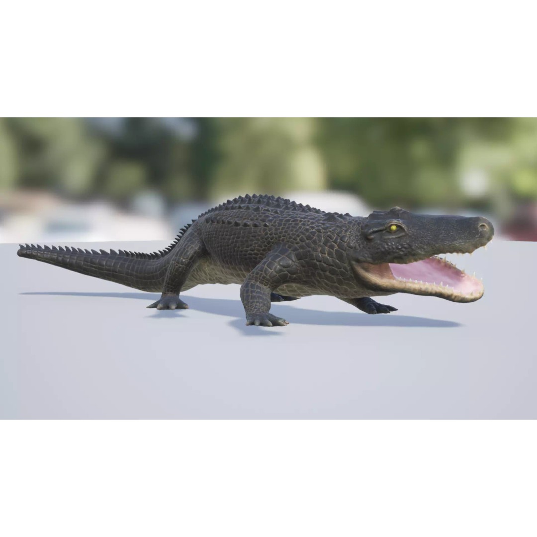 Alligator 3D Model – Low Poly Animated Rigged Game Asset, FBX - View 7
