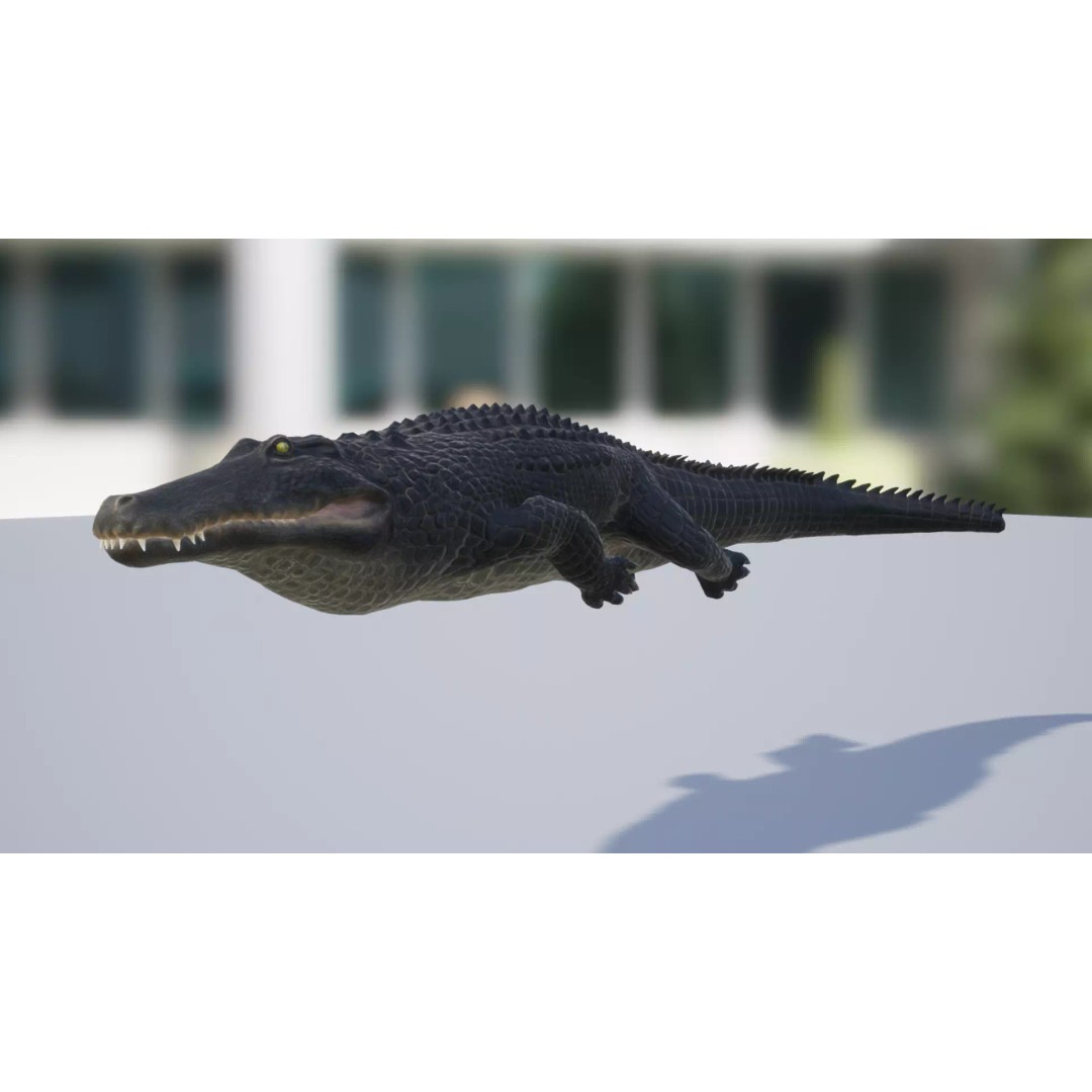 Alligator 3D Model – Low Poly Animated Rigged Game Asset, FBX - View 8