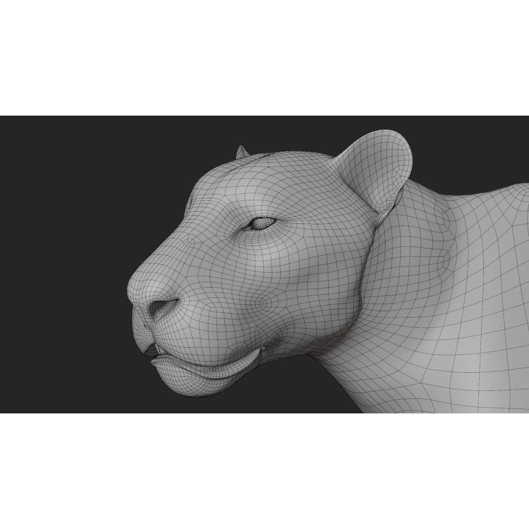 Lioness 3D Model – Hyper-Realistic Rigged Asset with PBR Textures - View 13