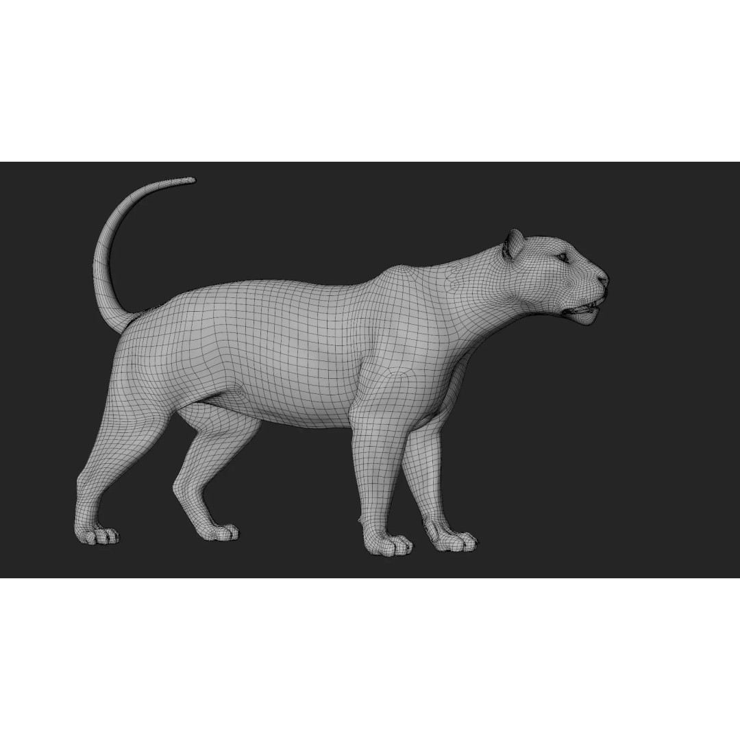 Lioness 3D Model – Hyper-Realistic Rigged Asset with PBR Textures - View 23