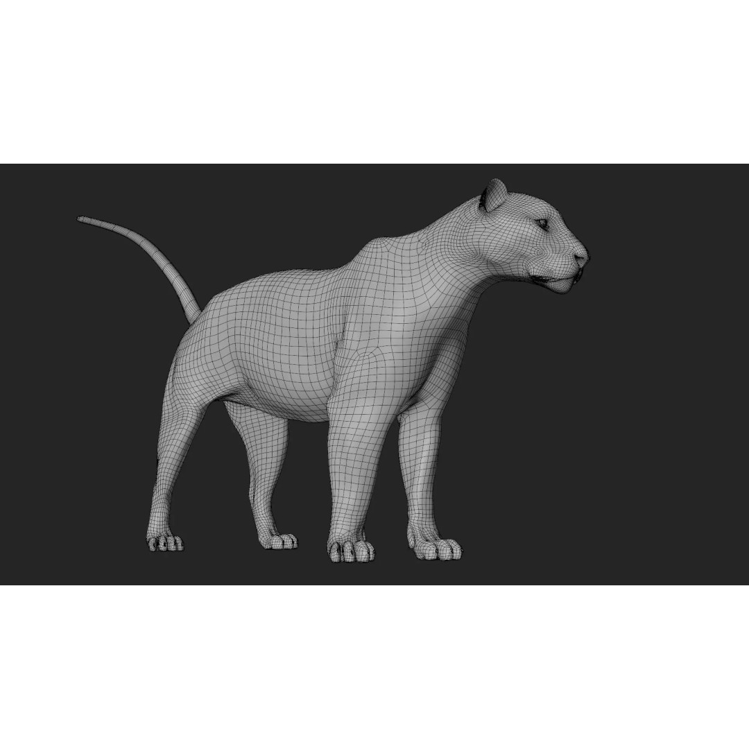 Lioness 3D Model – Hyper-Realistic Rigged Asset with PBR Textures - View 24