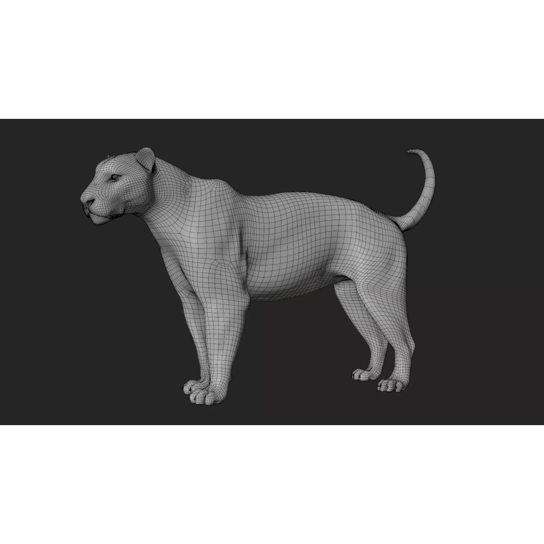 Lioness 3D Model – Hyper-Realistic Rigged Asset with PBR Textures - View 25