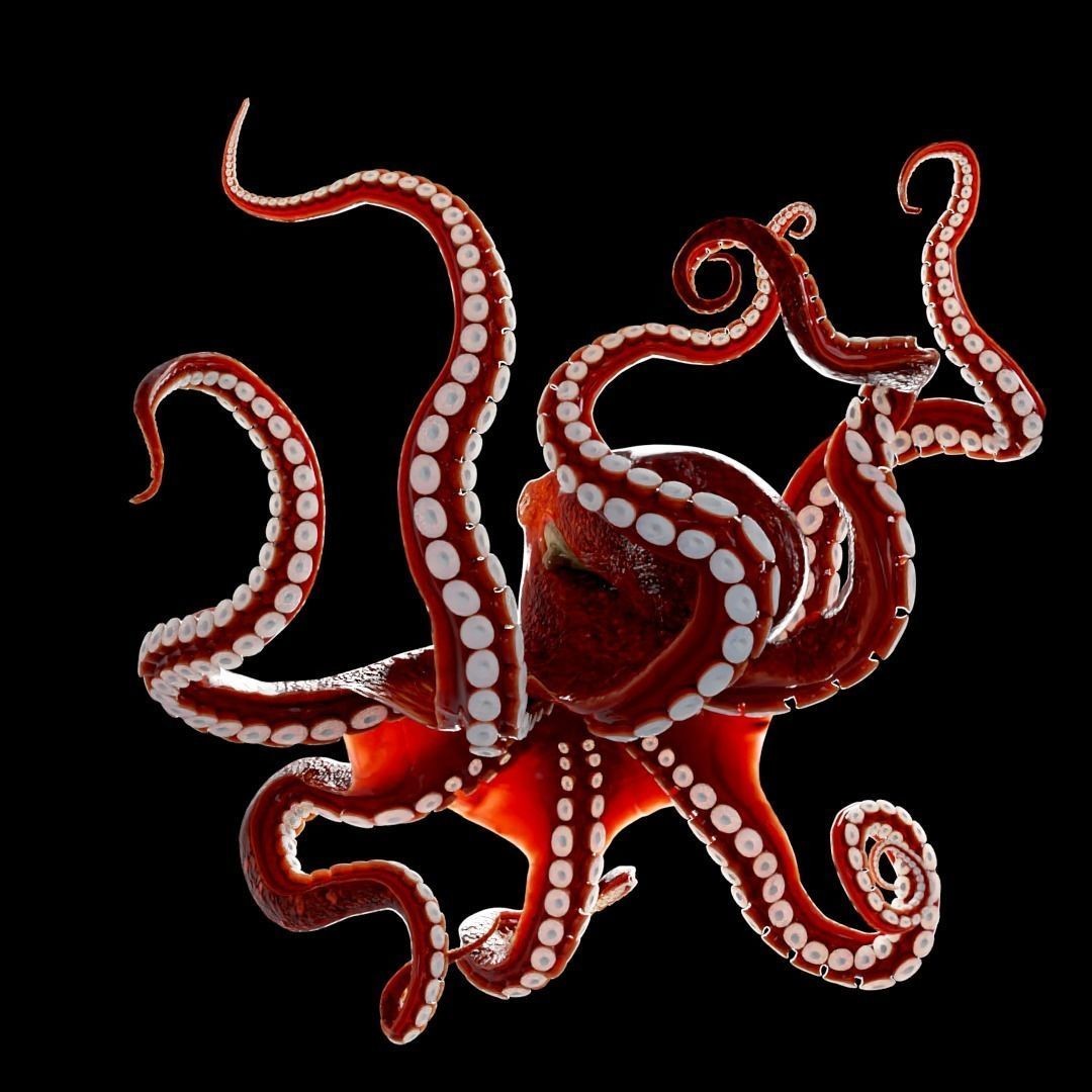 Animated Octopus 3D Model – Low Poly Game Ready Asset, FBX