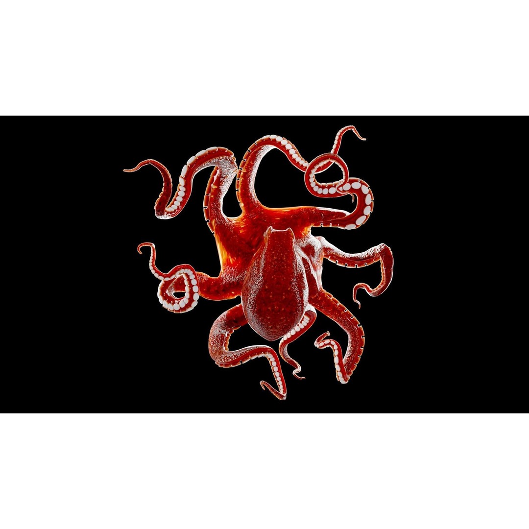 Animated Octopus 3D Model – Low Poly Game Ready Asset, FBX - View 12