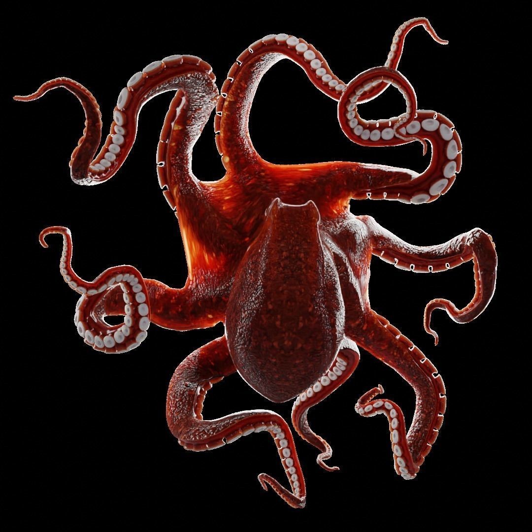 Animated Octopus 3D Model – Low Poly Game Ready Asset, FBX - View 13