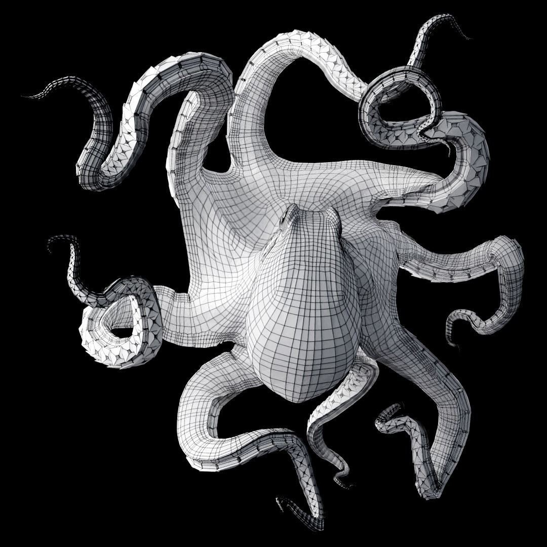 Animated Octopus 3D Model – Low Poly Game Ready Asset, FBX - View 14