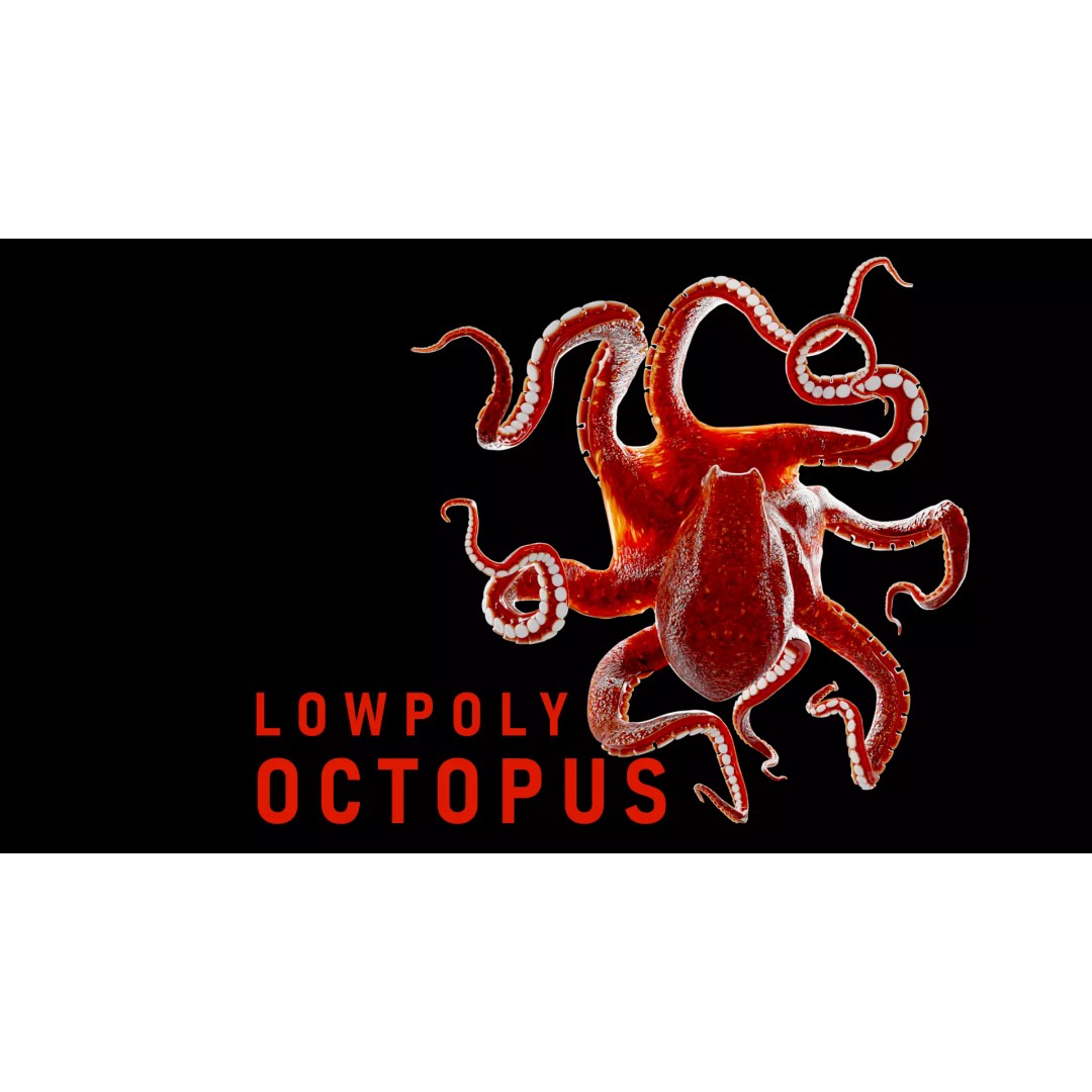 Animated Octopus 3D Model – Low Poly Game Ready Asset, FBX - View 2