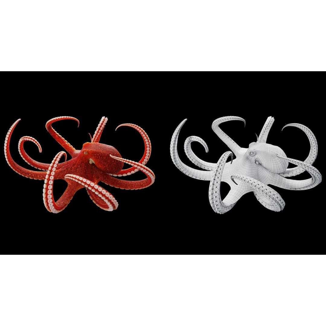 Animated Octopus 3D Model – Low Poly Game Ready Asset, FBX - View 3