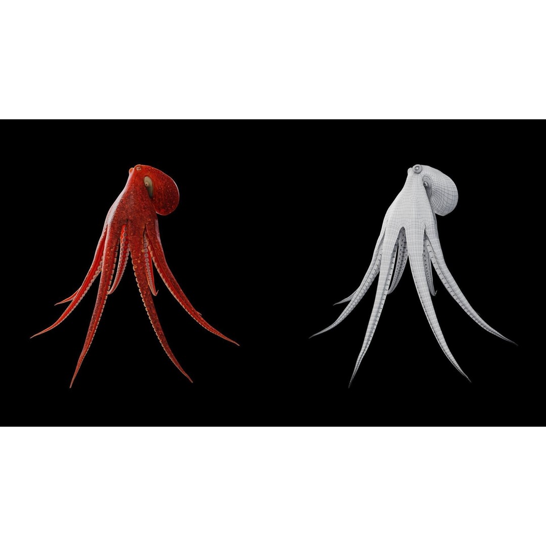 Animated Octopus 3D Model – Low Poly Game Ready Asset, FBX - View 4
