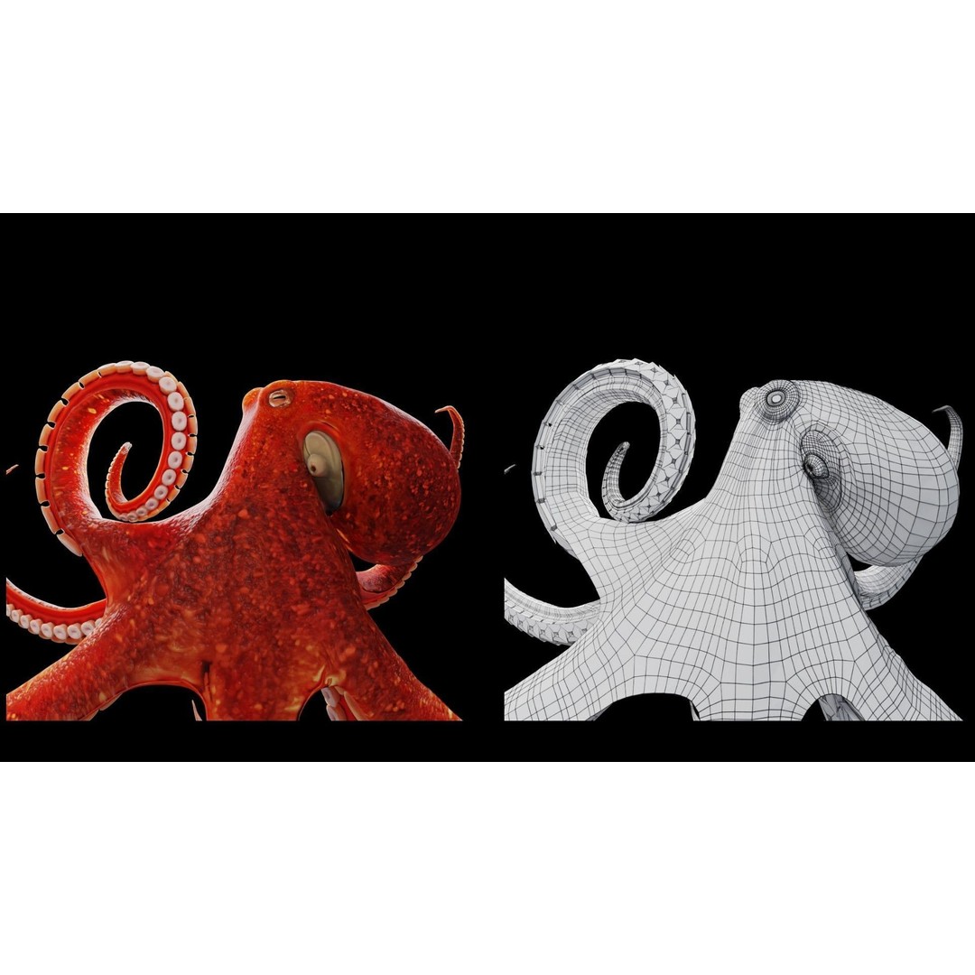 Animated Octopus 3D Model – Low Poly Game Ready Asset, FBX - View 5