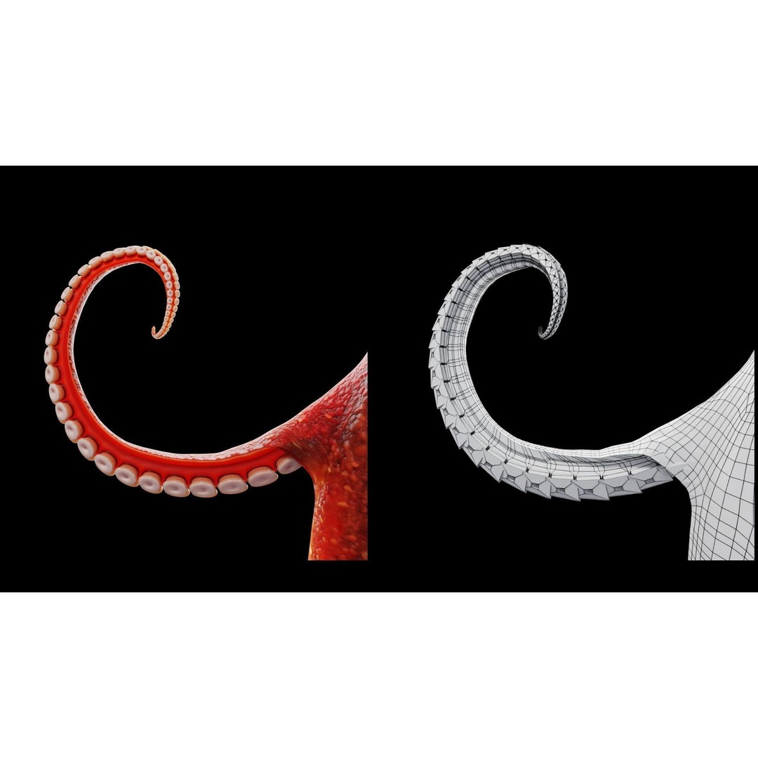 Animated Octopus 3D Model – Low Poly Game Ready Asset, FBX - View 6