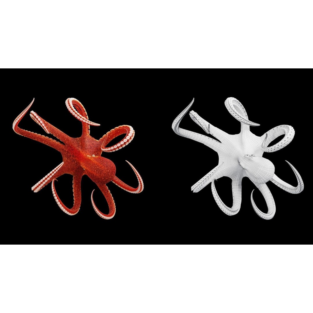 Animated Octopus 3D Model – Low Poly Game Ready Asset, FBX - View 8