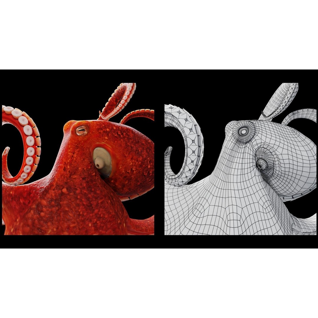 Animated Octopus 3D Model – Low Poly Game Ready Asset, FBX - View 9