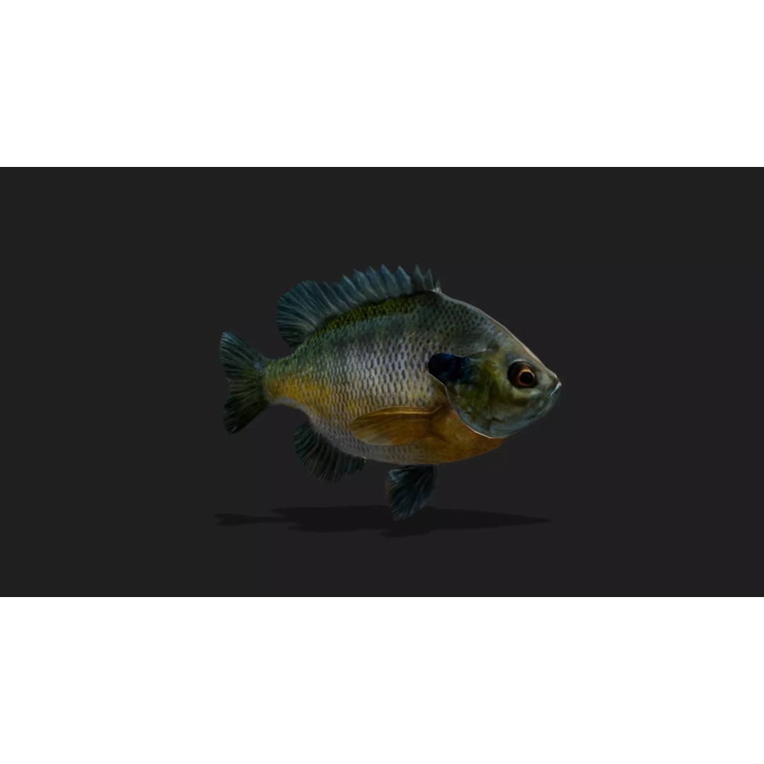 Ultimate Animal Mega Bundle 3D Model – Low Poly Rigged Animals, FBX, Blender