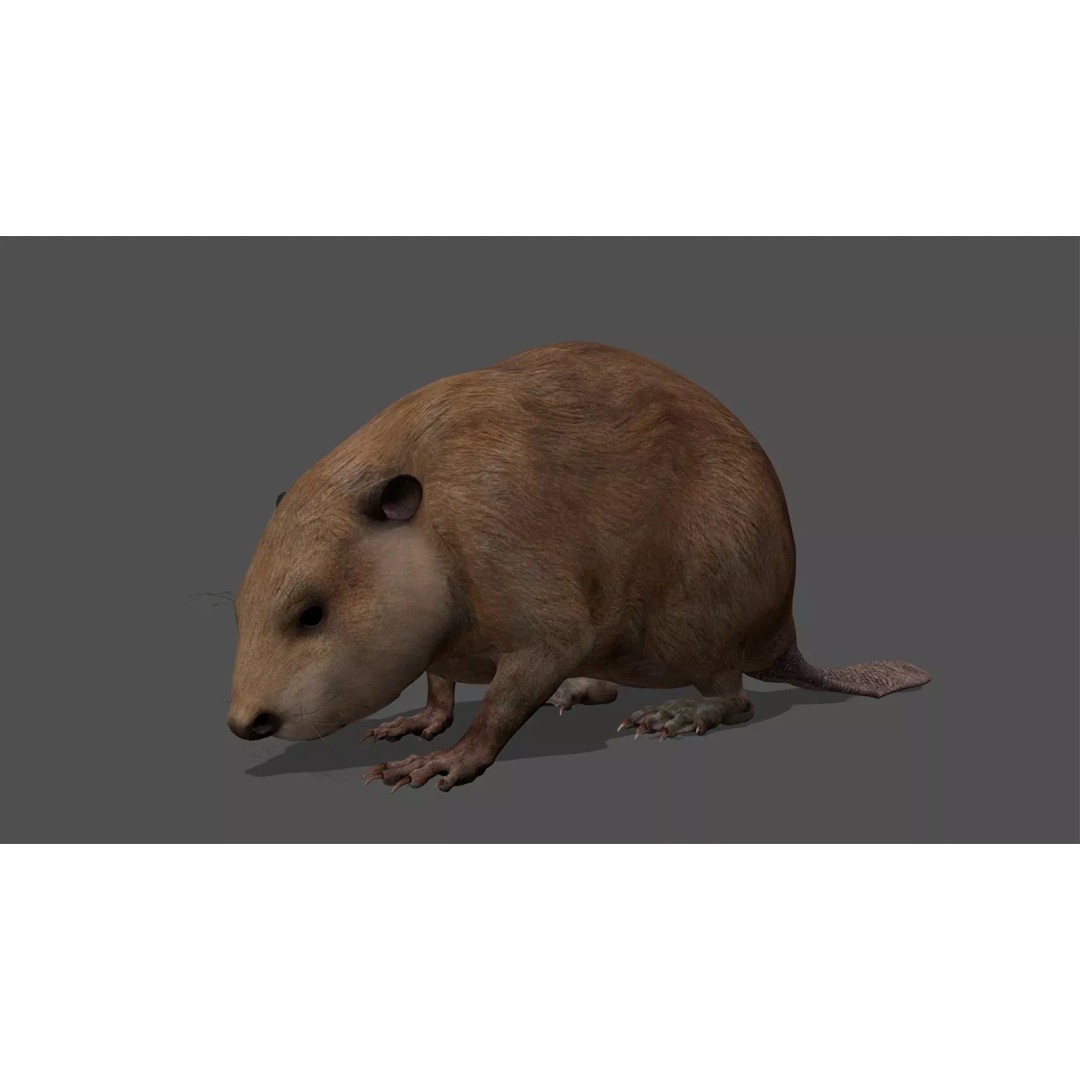 Ultimate Animal Mega Bundle 3D Model – Low Poly Rigged Animals, FBX, Blender - View 10