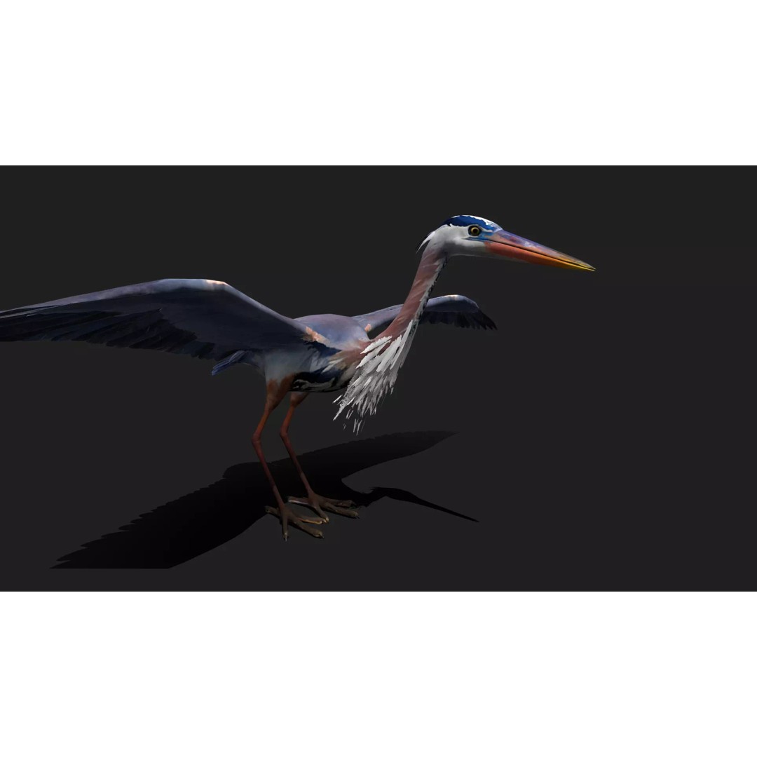 Ultimate Animal Mega Bundle 3D Model – Low Poly Rigged Animals, FBX, Blender - View 100