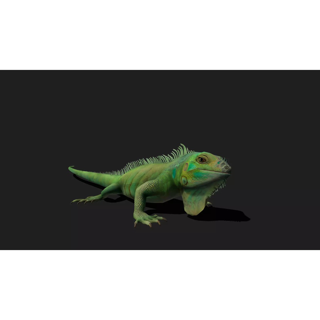 Ultimate Animal Mega Bundle 3D Model – Low Poly Rigged Animals, FBX, Blender - View 101