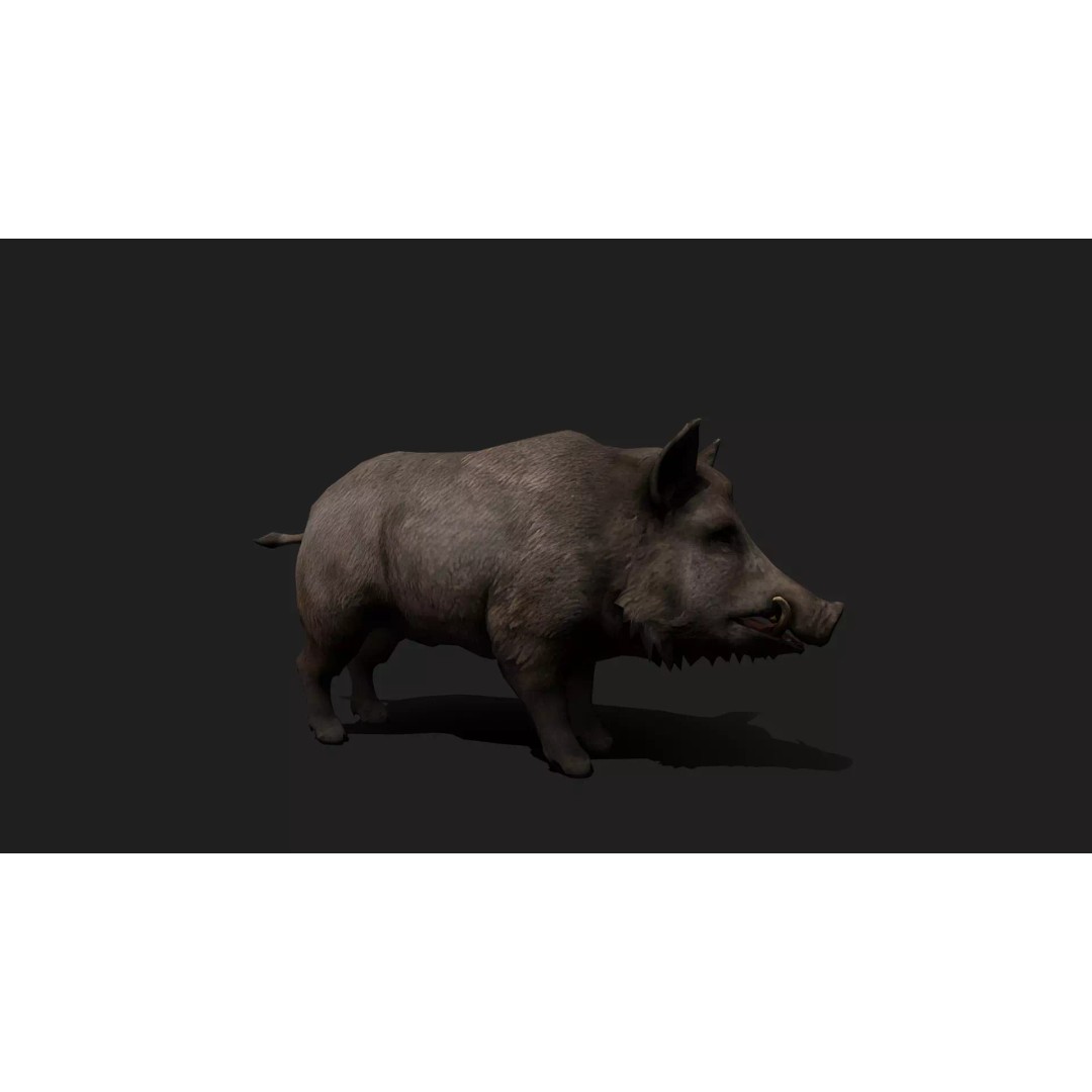 Ultimate Animal Mega Bundle 3D Model – Low Poly Rigged Animals, FBX, Blender - View 103