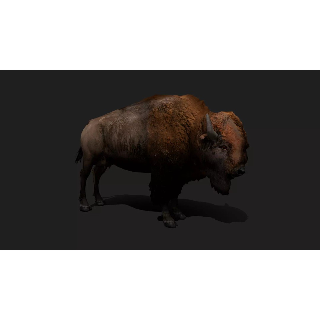 Ultimate Animal Mega Bundle 3D Model – Low Poly Rigged Animals, FBX, Blender - View 104