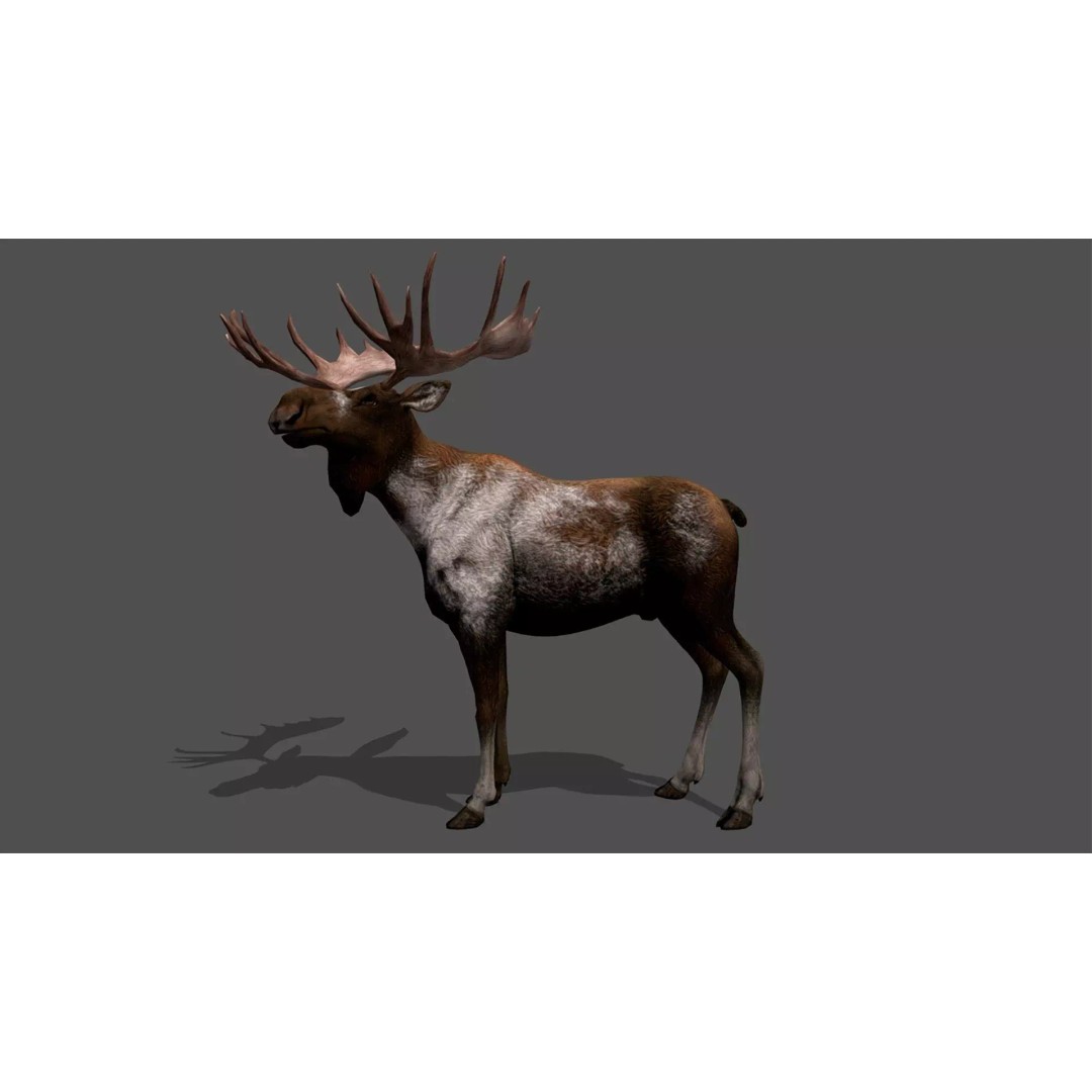 Ultimate Animal Mega Bundle 3D Model – Low Poly Rigged Animals, FBX, Blender - View 11