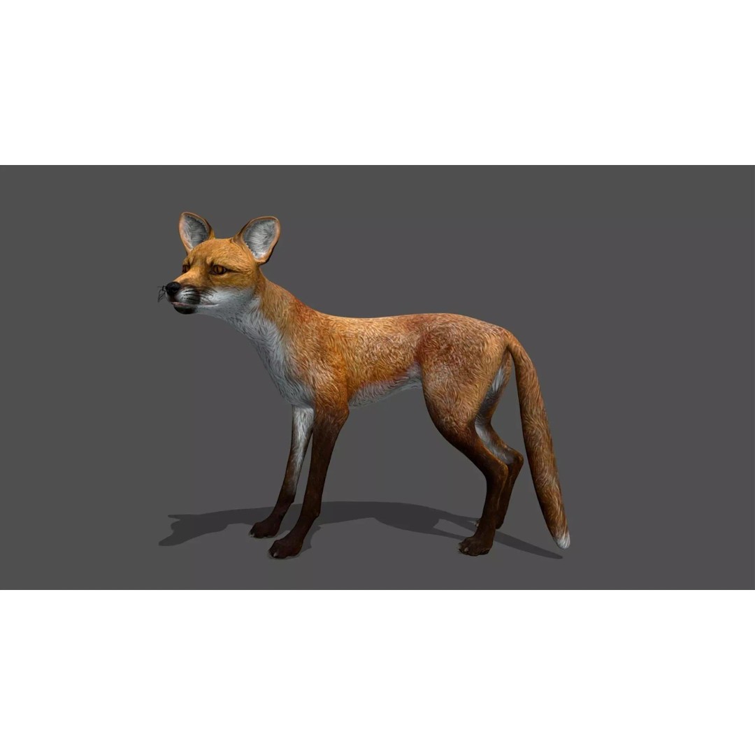 Ultimate Animal Mega Bundle 3D Model – Low Poly Rigged Animals, FBX, Blender - View 15