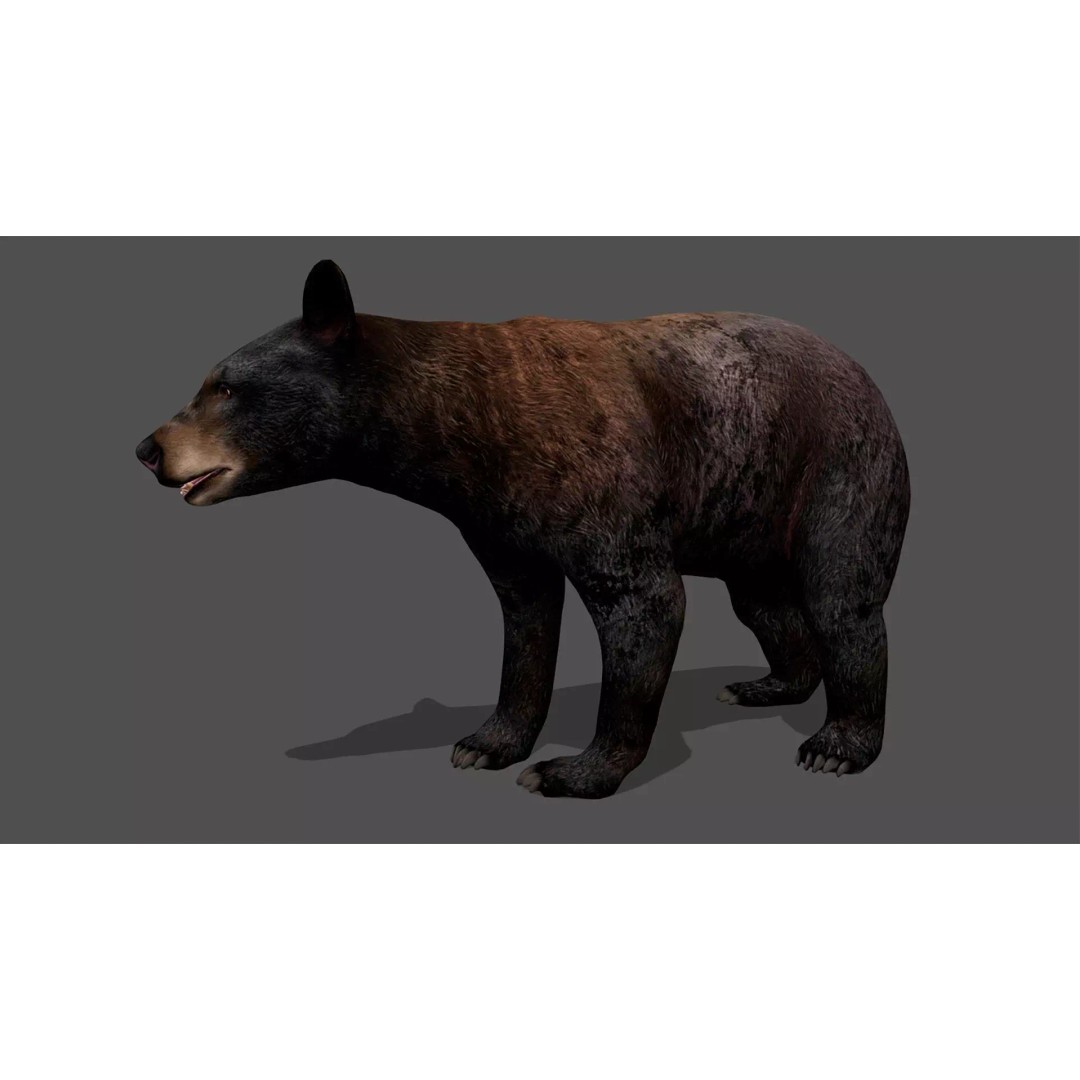 Ultimate Animal Mega Bundle 3D Model – Low Poly Rigged Animals, FBX, Blender - View 18
