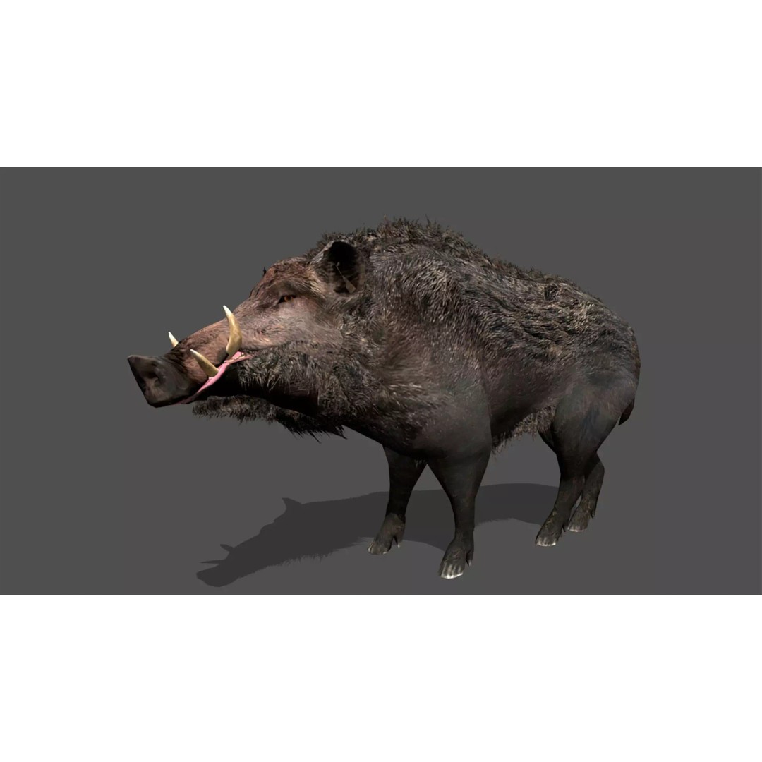 Ultimate Animal Mega Bundle 3D Model – Low Poly Rigged Animals, FBX, Blender - View 19