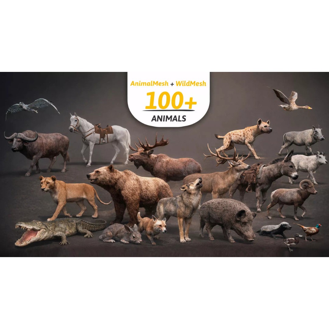 Ultimate Animal Mega Bundle 3D Model – Low Poly Rigged Animals, FBX, Blender - View 2