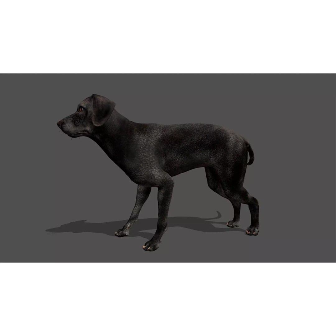 Ultimate Animal Mega Bundle 3D Model – Low Poly Rigged Animals, FBX, Blender - View 20
