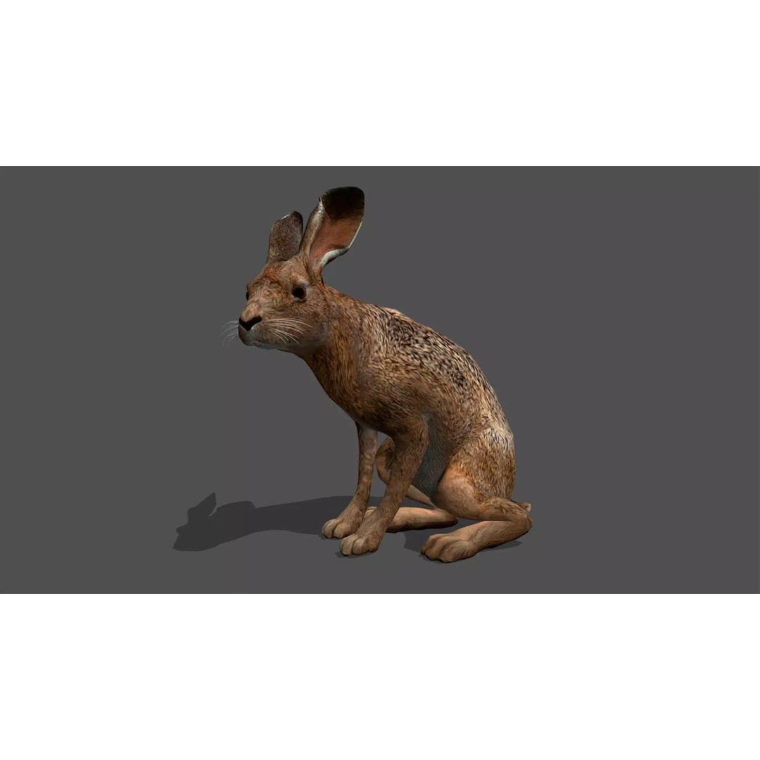 Ultimate Animal Mega Bundle 3D Model – Low Poly Rigged Animals, FBX, Blender - View 21