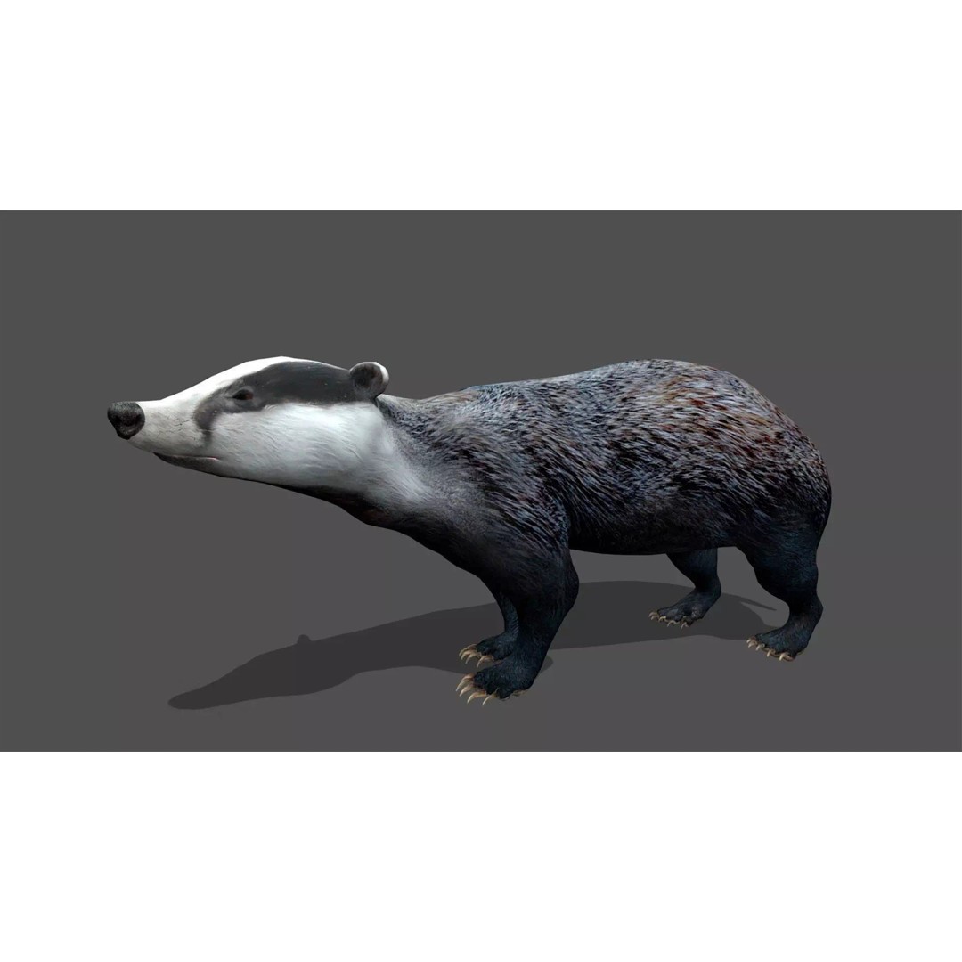 Ultimate Animal Mega Bundle 3D Model – Low Poly Rigged Animals, FBX, Blender - View 22