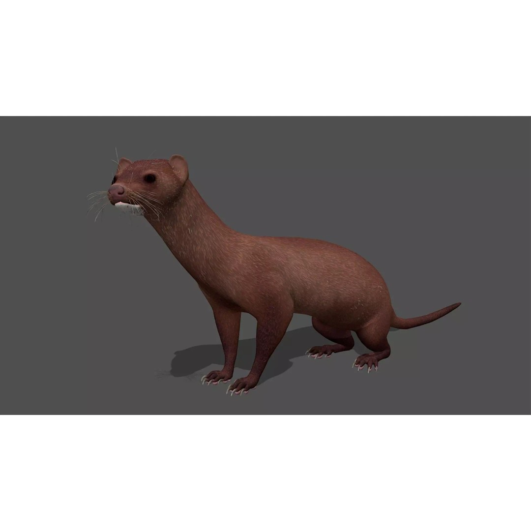 Ultimate Animal Mega Bundle 3D Model – Low Poly Rigged Animals, FBX, Blender - View 23