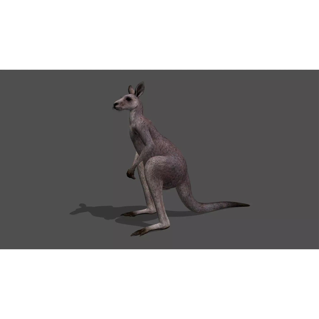Ultimate Animal Mega Bundle 3D Model – Low Poly Rigged Animals, FBX, Blender - View 24