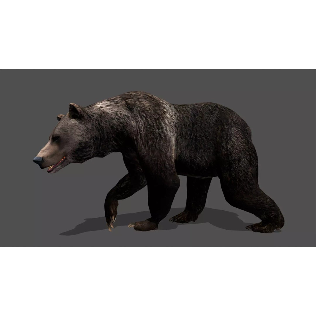 Ultimate Animal Mega Bundle 3D Model – Low Poly Rigged Animals, FBX, Blender - View 25