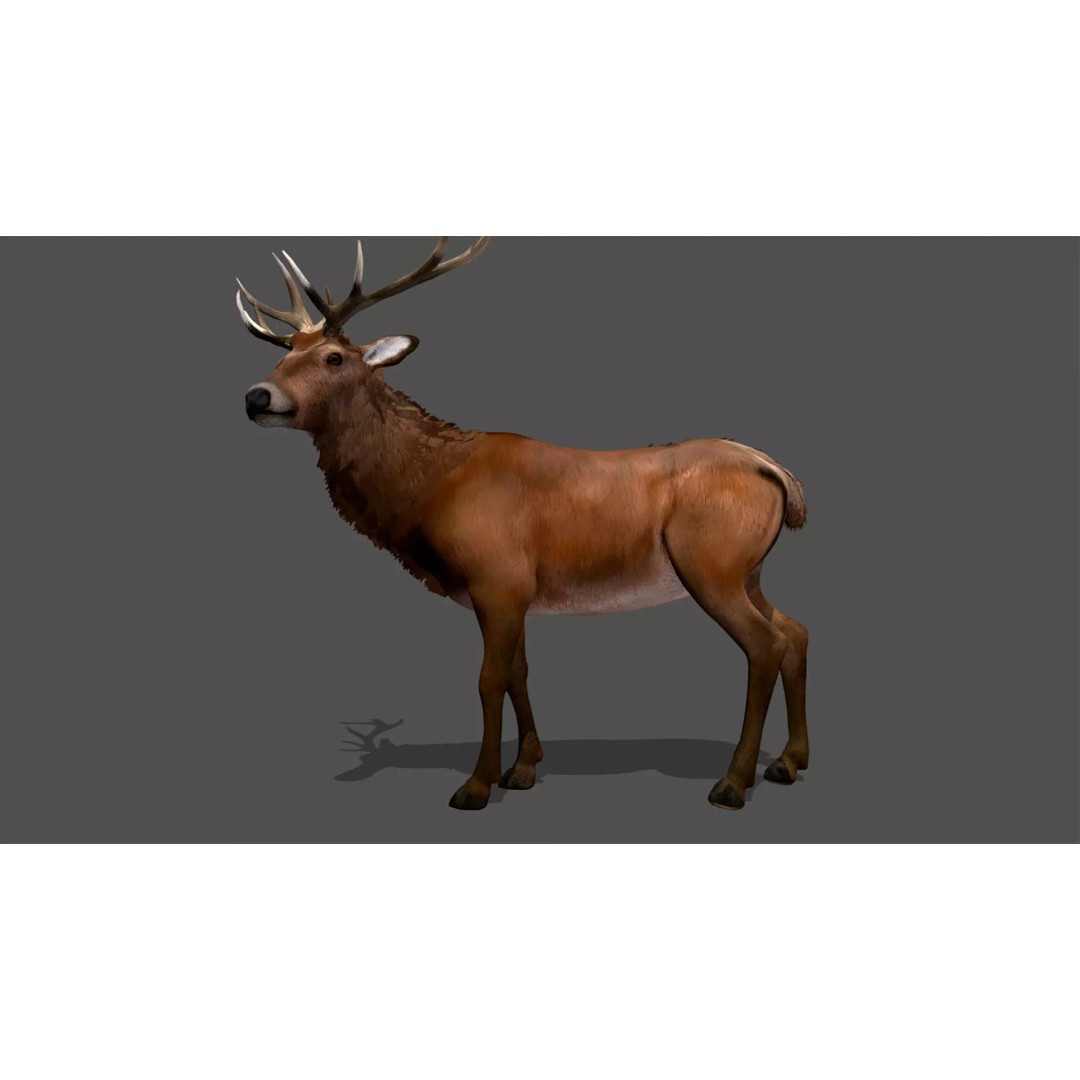 Ultimate Animal Mega Bundle 3D Model – Low Poly Rigged Animals, FBX, Blender - View 26