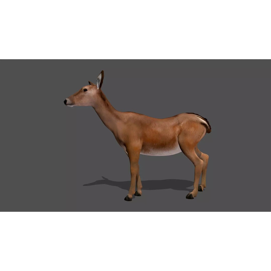 Ultimate Animal Mega Bundle 3D Model – Low Poly Rigged Animals, FBX, Blender - View 28